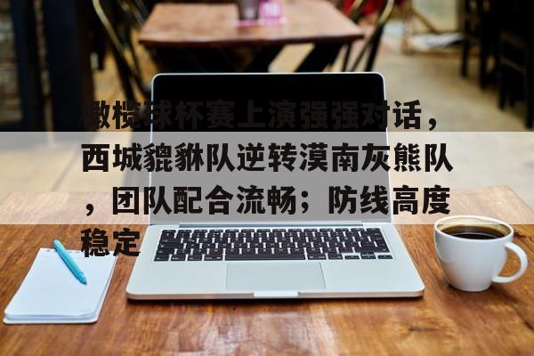 橄榄球杯赛上演强强对话，西城貔貅队逆转漠南灰熊队，团队配合流畅；防线高度稳定的简单介绍
